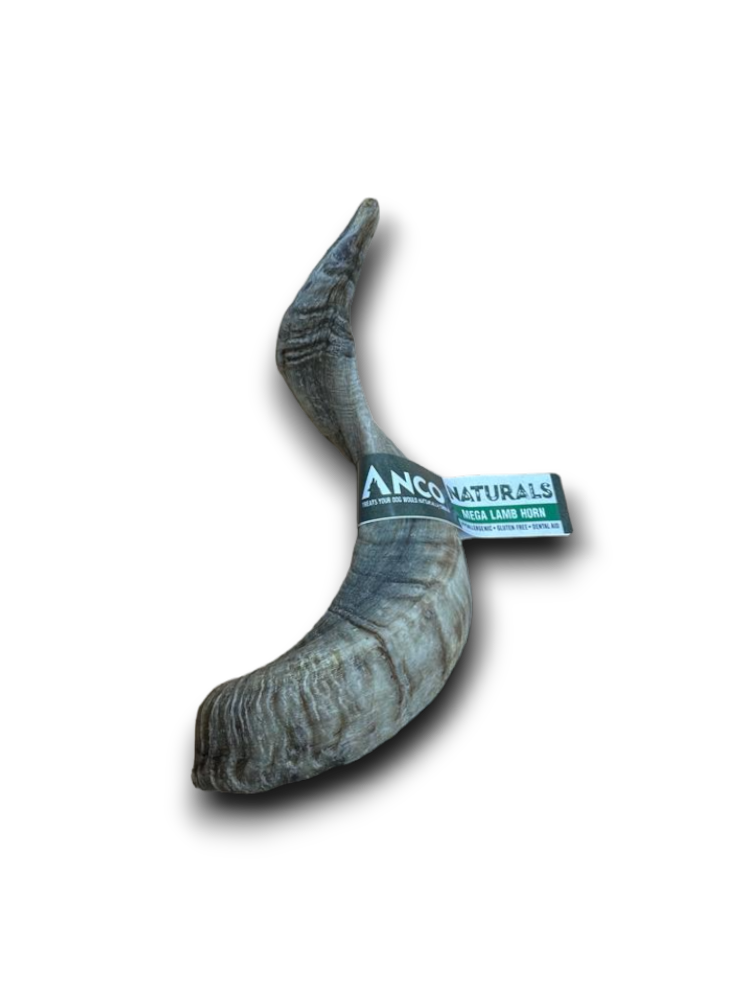 Anco Lamb Horn 1pc