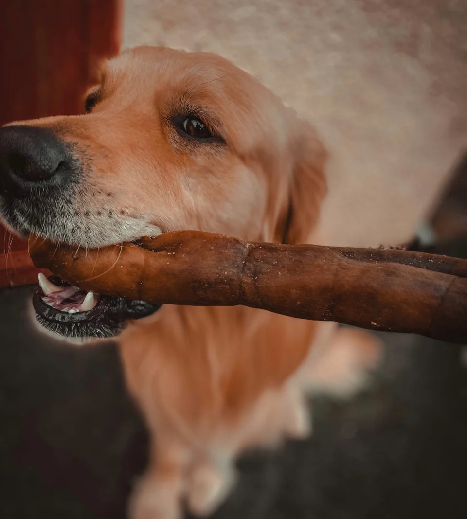 Anco Naturals Camel Rolls Large