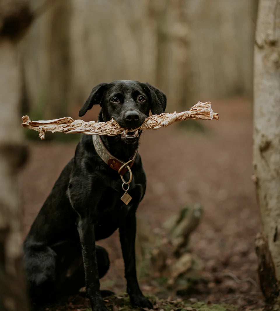 Anco Naturals Mega Beef Braid 1pc