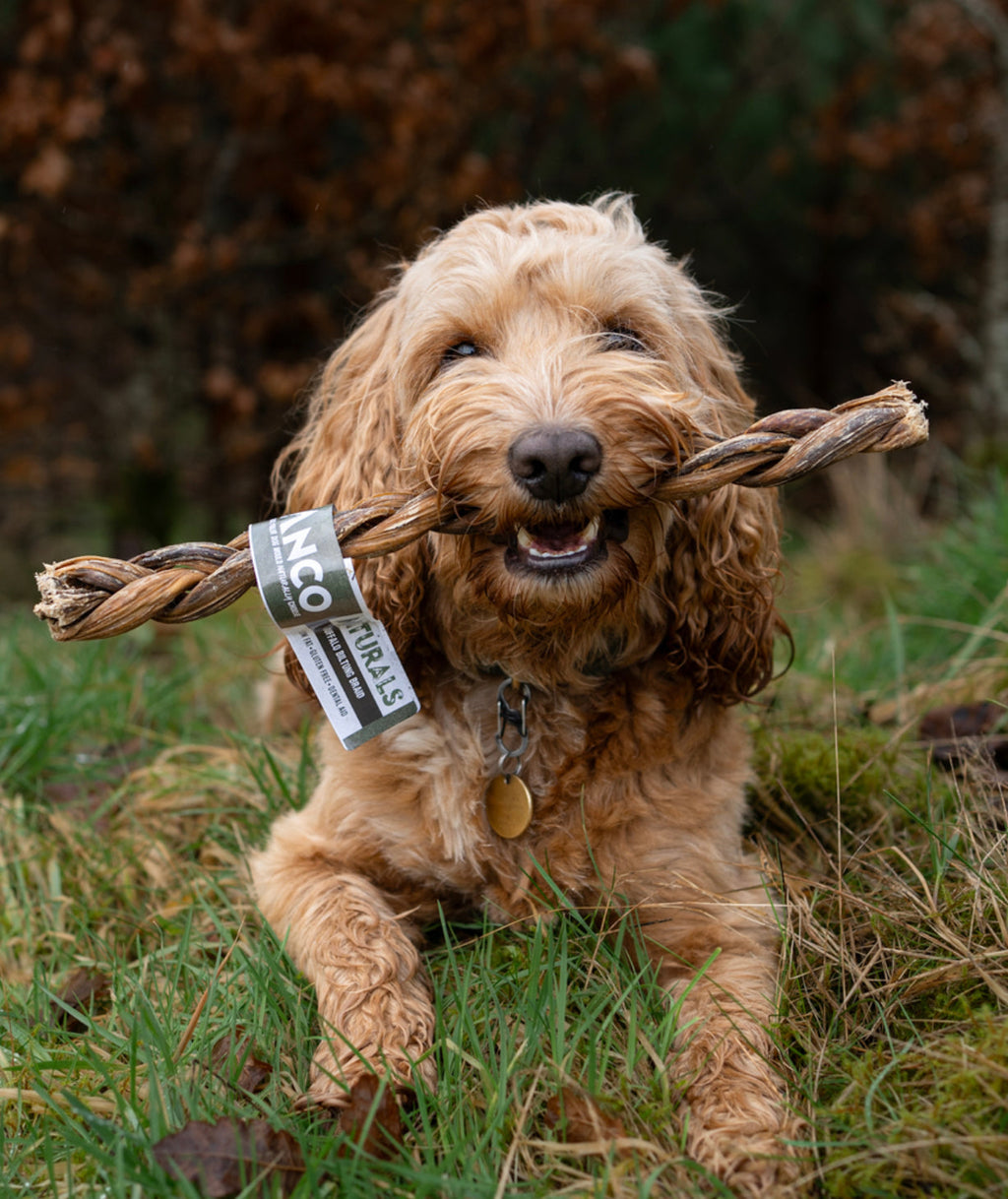 Anco Naturals Buffalo Biltong Braid 1pc