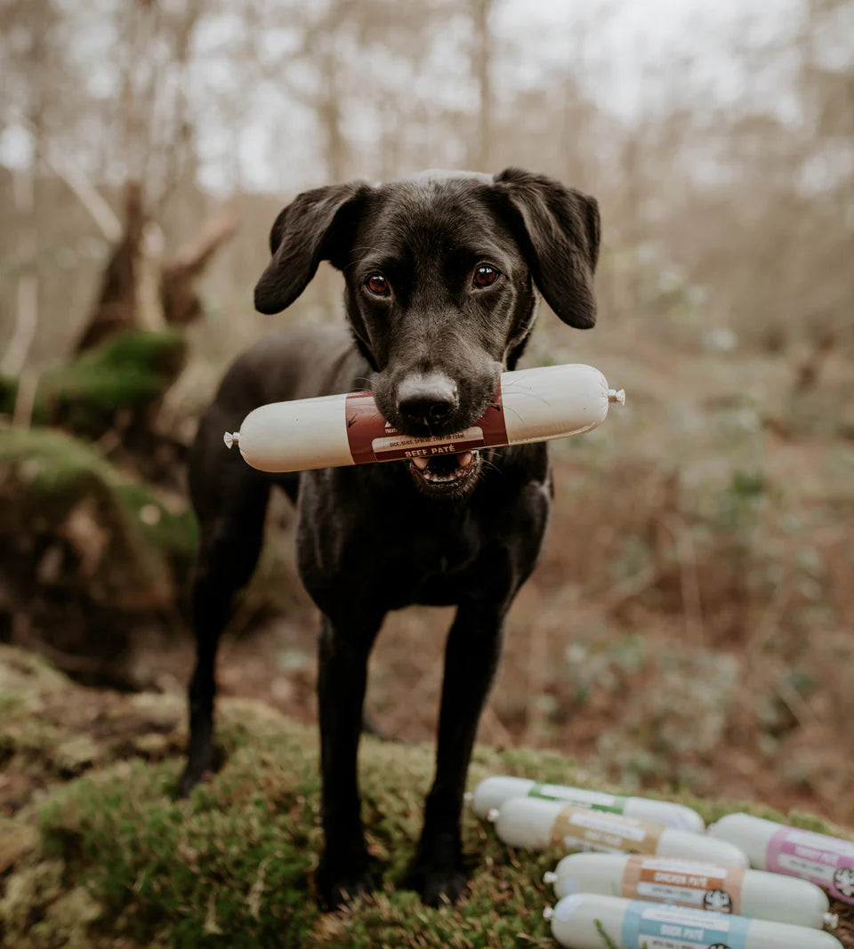 Anco Beef Pate Dog Treat 400g