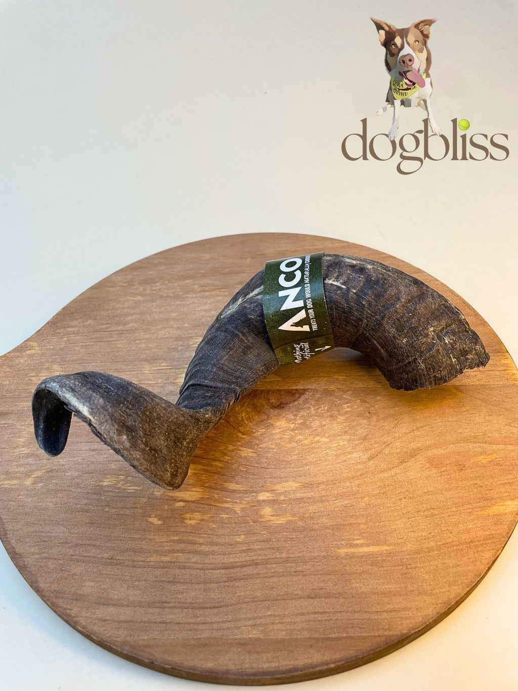 Anco Lamb Horn 1pc