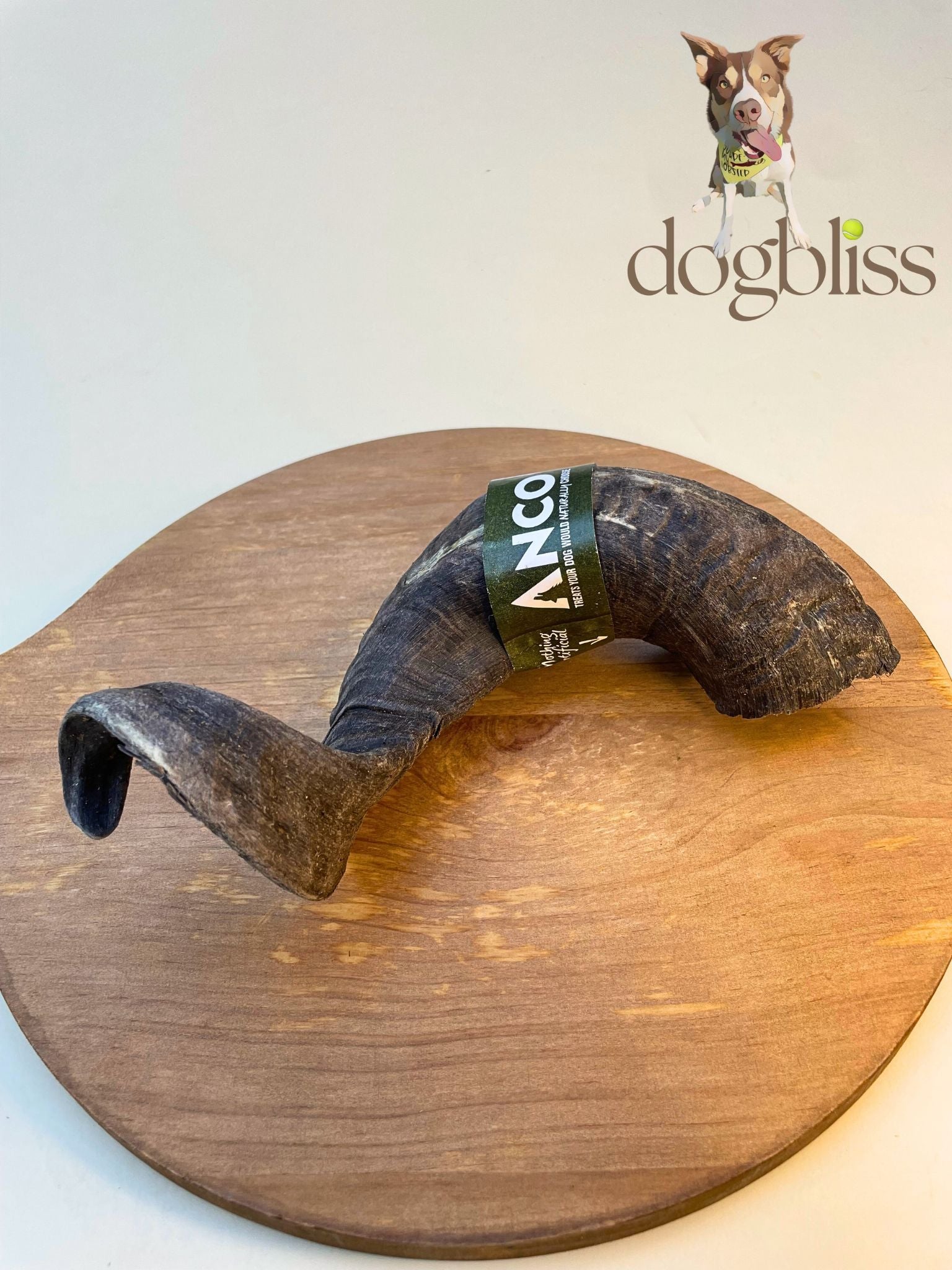 Anco Lamb Horn 1pc