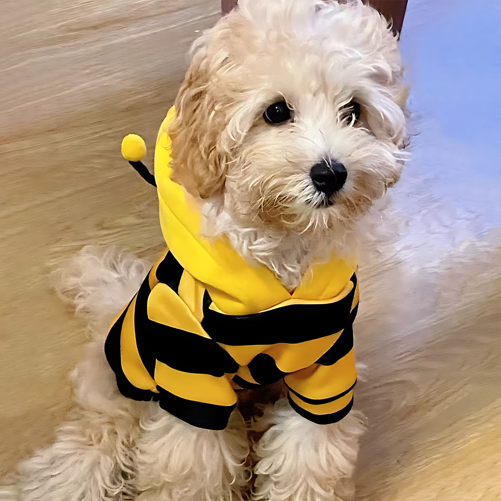 Cute Bee Pet Hoodie – Warm Winter Costume for Dogs & Cats - Image 2