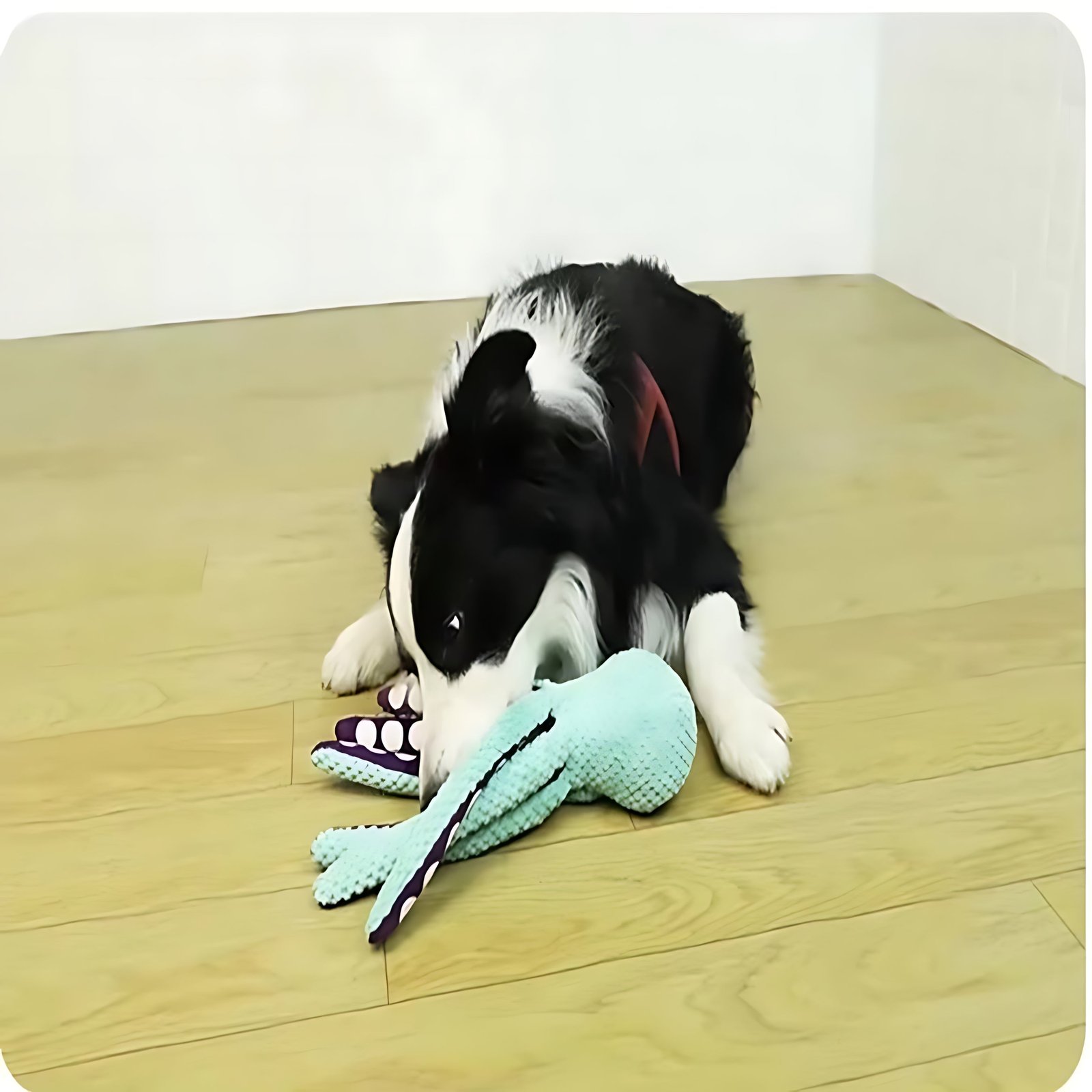 Plush Octopus Dog Toy – Interactive Squeaky Toy for Dogs - Image 5