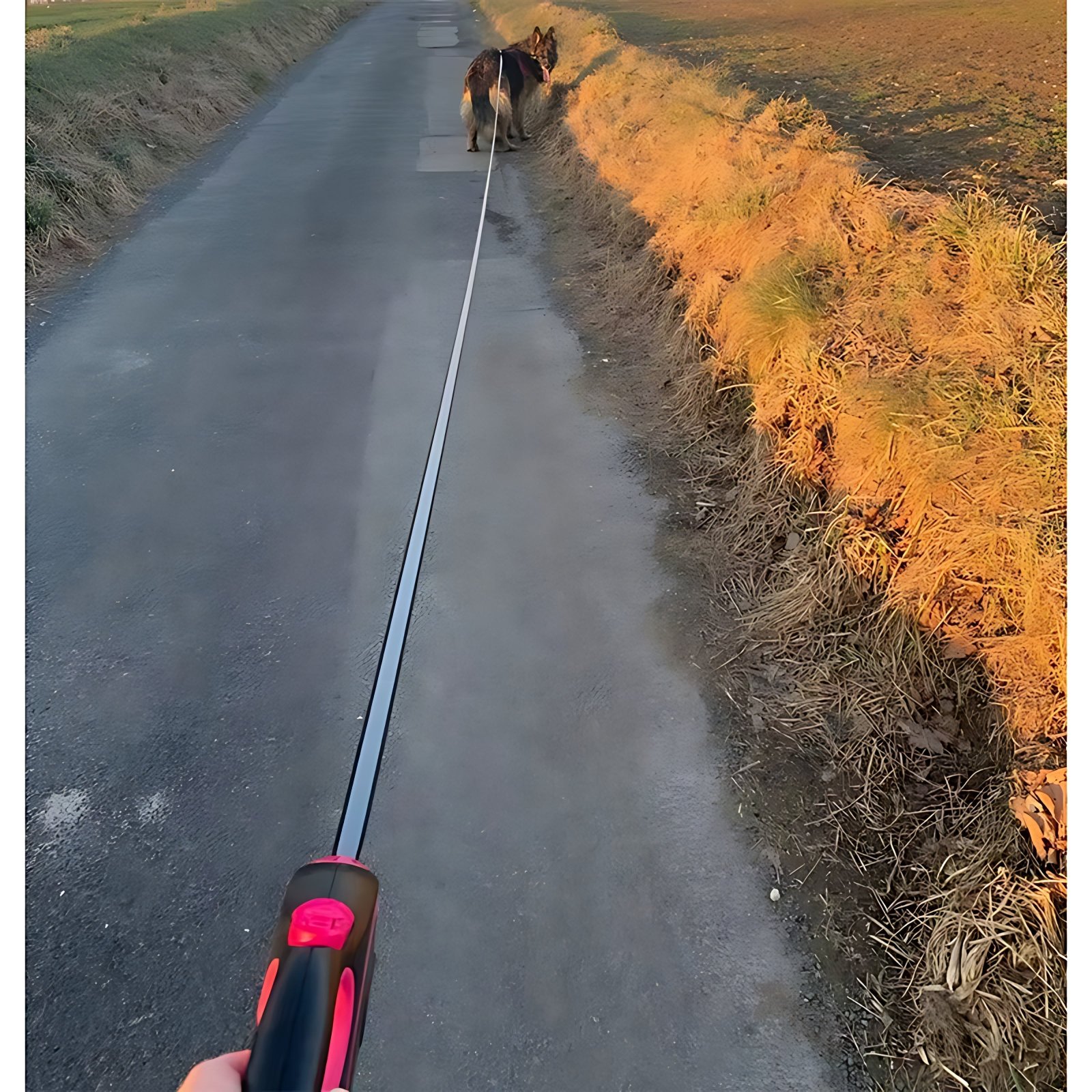 Retractable Dog Walking Lead – Heavy Duty Extendable Leash 5m / 8m - Image 8