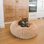 Calming Dog Bed & Cover Bundle - Image 10