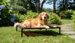 Premium Elevated Dog Bed – Cooling Breathable Mesh, Indoor & Outdoor - Image 4