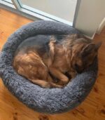 Calming Deep Sleep Pet Bed - Image 6