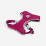 NOX Sidus | Adjustable Air Mesh Harness - Image 5