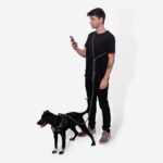 Titanium Grey | FlexiWalk Leash - Image 3